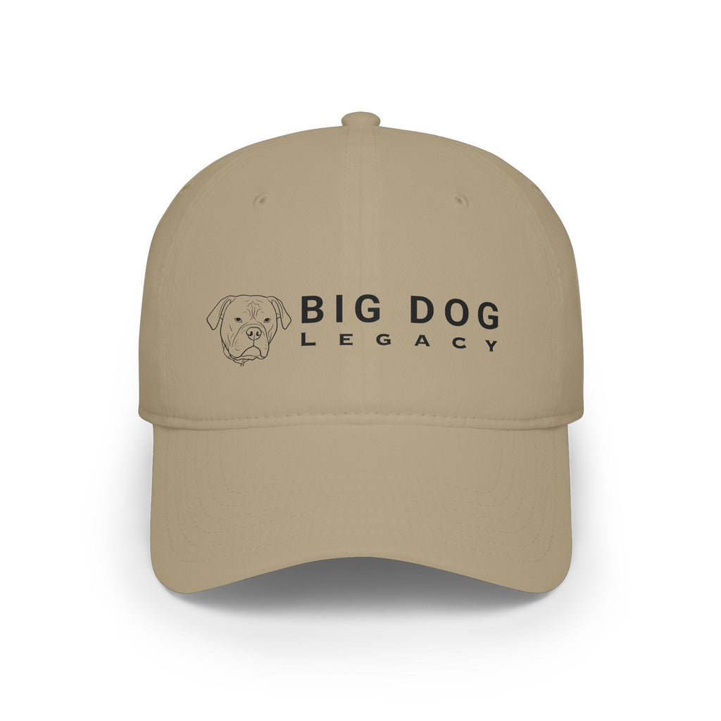 Low Profile Baseball Cap